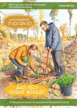 Акция 17 24.10